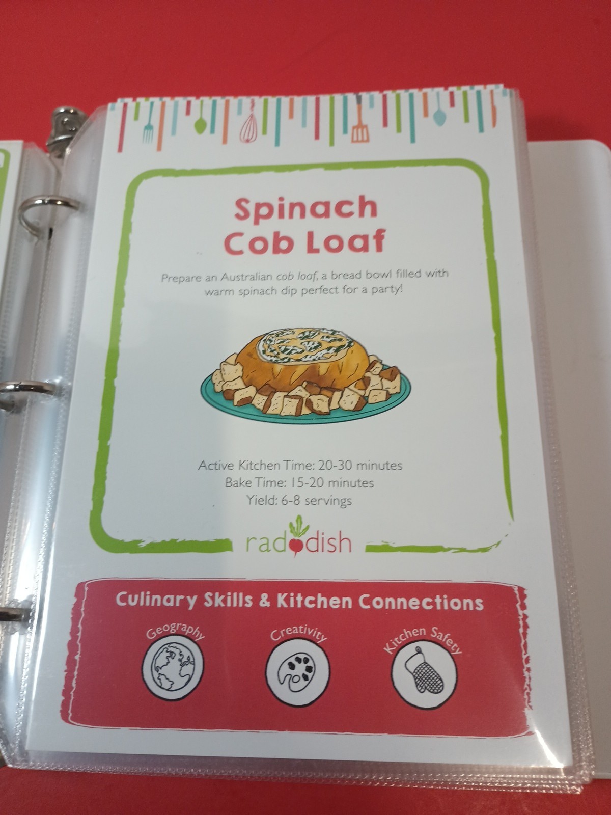 Lot Of 18 RADDISH KIDS Cooking Recipe Cards, INSTRUCTIONS, TRI-FOLD +12 Cards