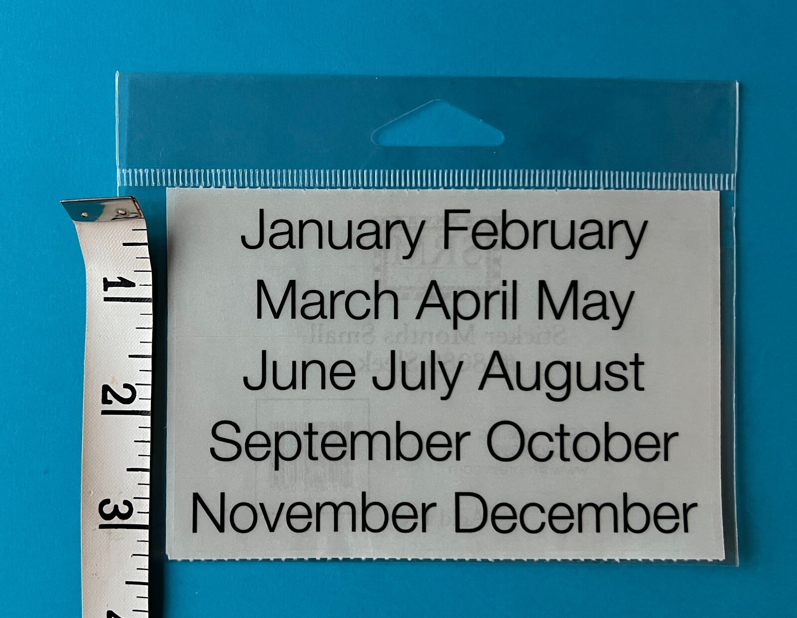 New Month Stickers Calendar Planner 1 Sheet 12 clear & black SRM Press