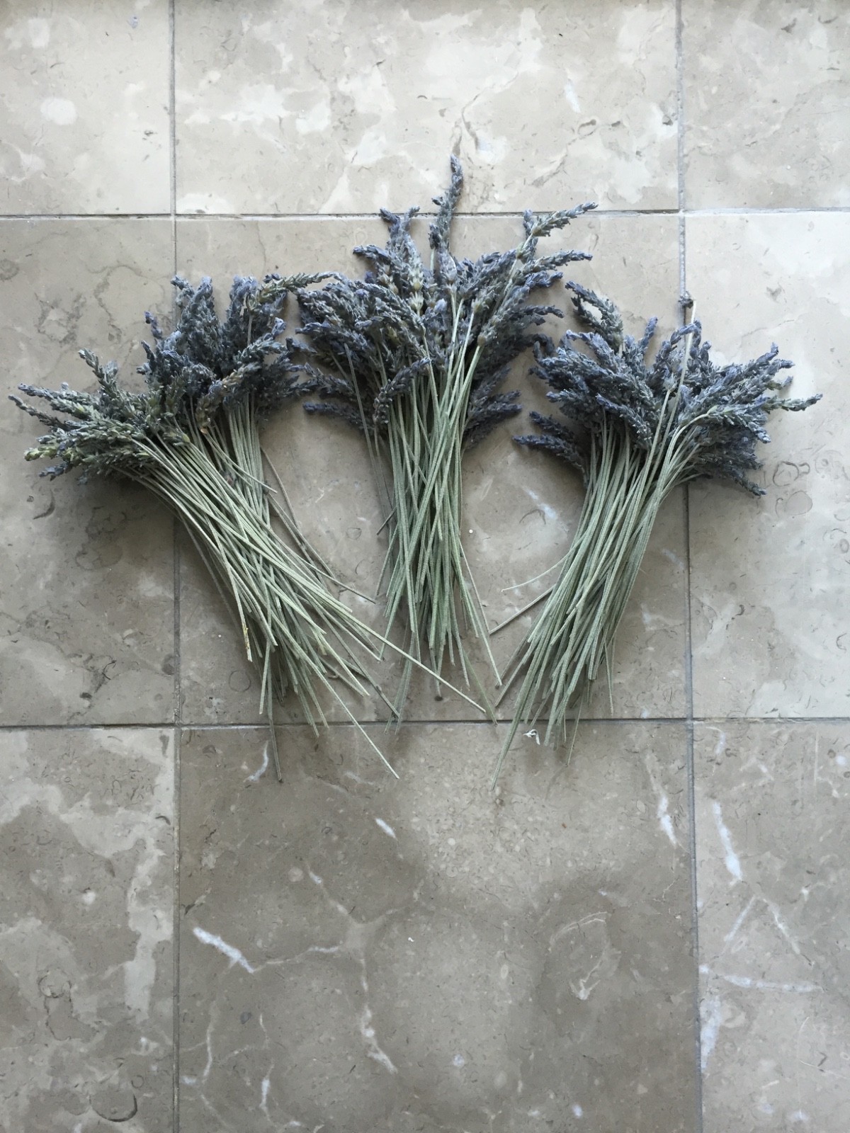 USA California Organic Natural Air Dried Lavender 25+ Flowers