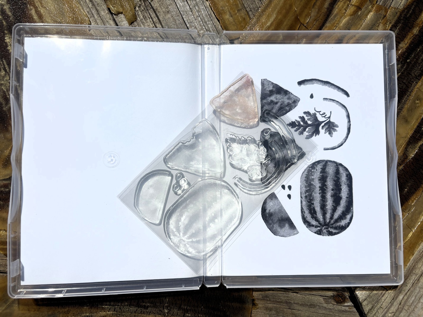 Stampin’ Up! Watercolor Melon Photopolymer Stamp Set – Gently Used, Retired