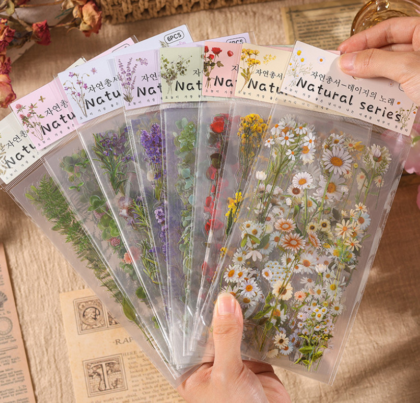 6Pcs Natural Journal Stickers PET Sticker Paper Scrapbooking Material Scrapbook