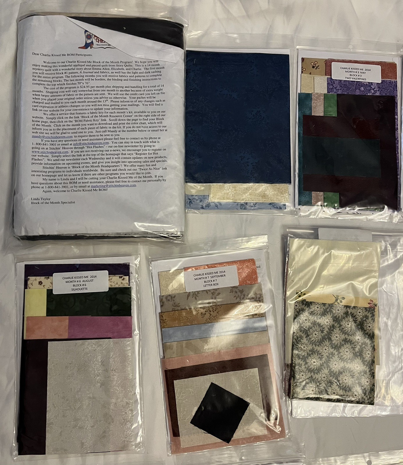 2014 Charlie Kissed Me A StoryQuilts Block Of The Month Prgm (All Blocks 1-14)