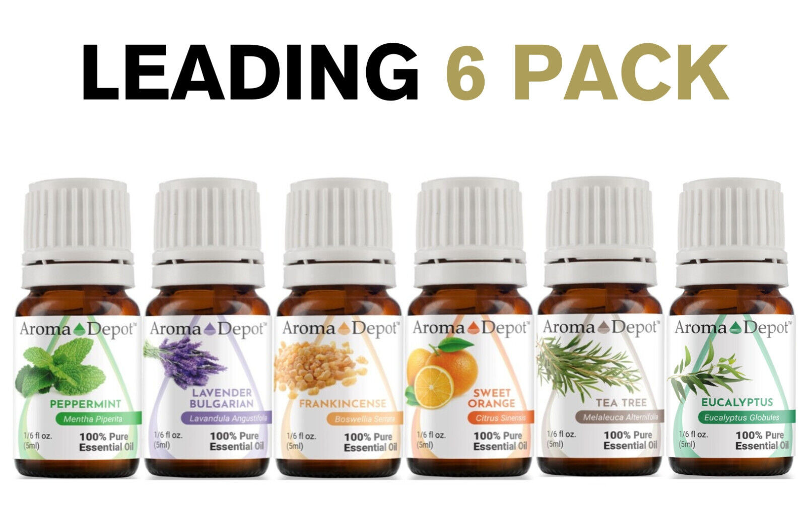 Essential Oil Set 6 – 5ml. 100% Pure Therapeutic Grade Lot Sampler Gift Kit