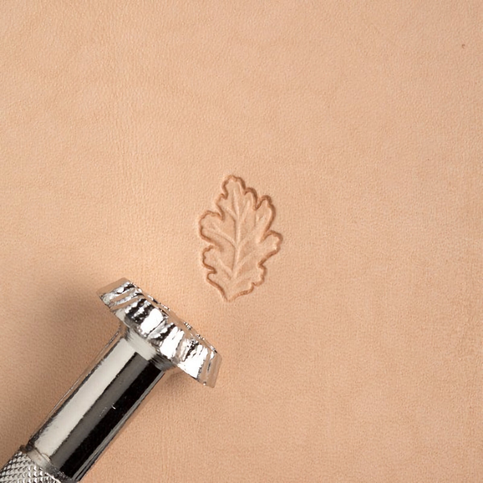 Left Oak Leaf Stamp L951 6951-00 by Tandy Leather
