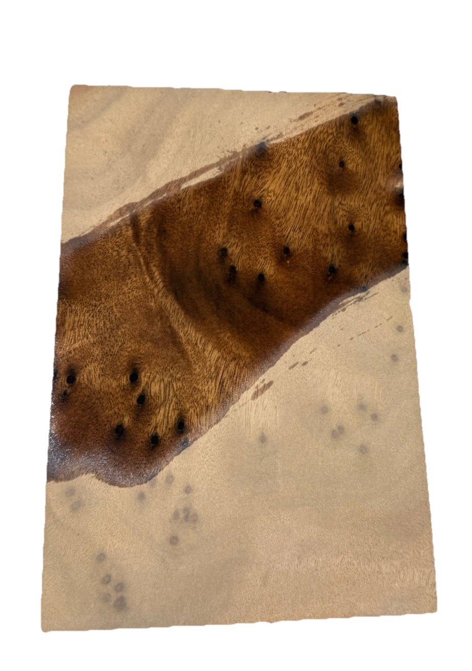 Camphor Burl Block / blank 8-3/8” x 5-1/2” x 2-7/8” (z47) air-dried
