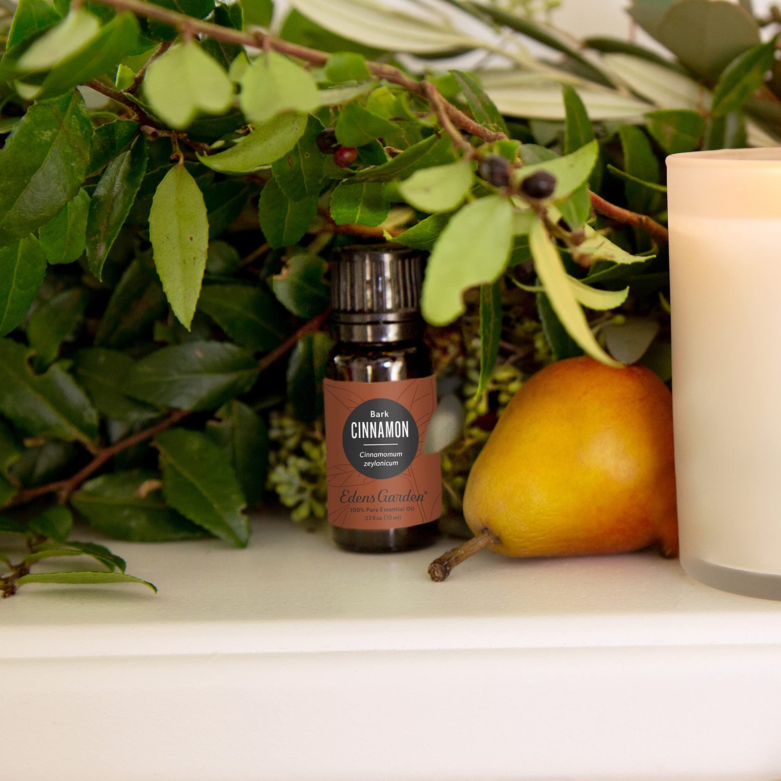 Edens Garden Cinnamon- Bark Essential Oil- 100% Pure 0.33 Fl Oz (Pack of 1)