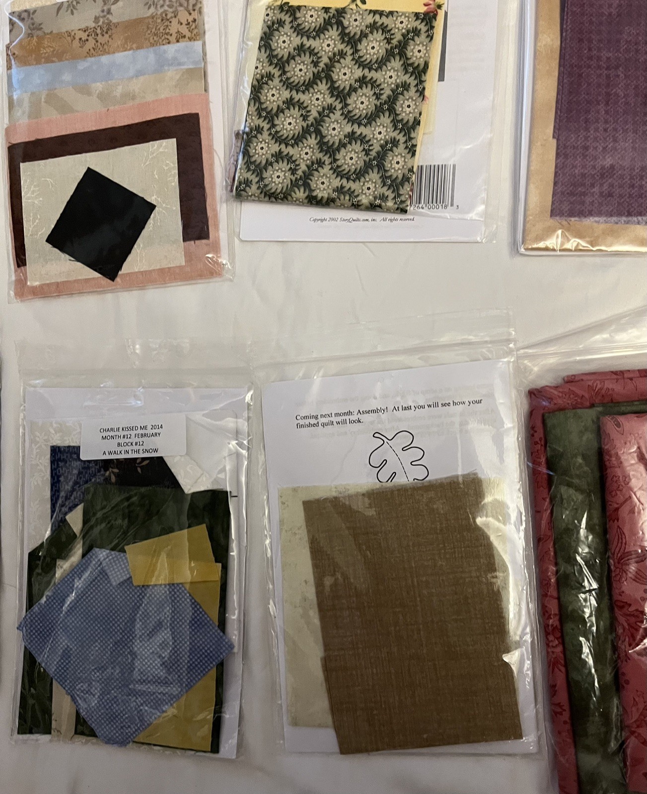 2014 Charlie Kissed Me A StoryQuilts Block Of The Month Prgm (All Blocks 1-14)