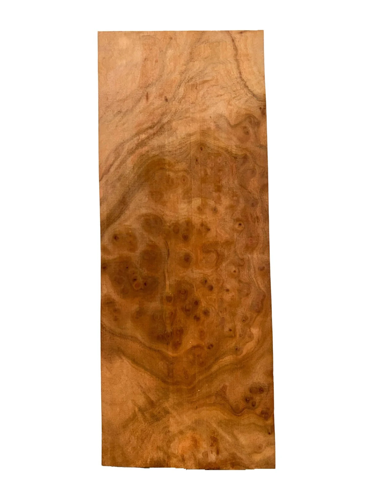 Camphor, Asian Burl Highly Figured guitar body blank – 21″ x 8″ x 2″ [E1079]