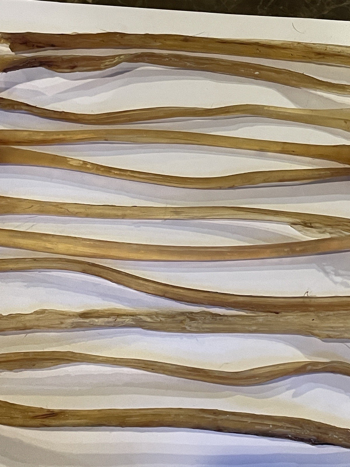 Deer Leg Sinew 11 Pieces Genuine Primitive Crafts Bow Arrow Native Authentic US