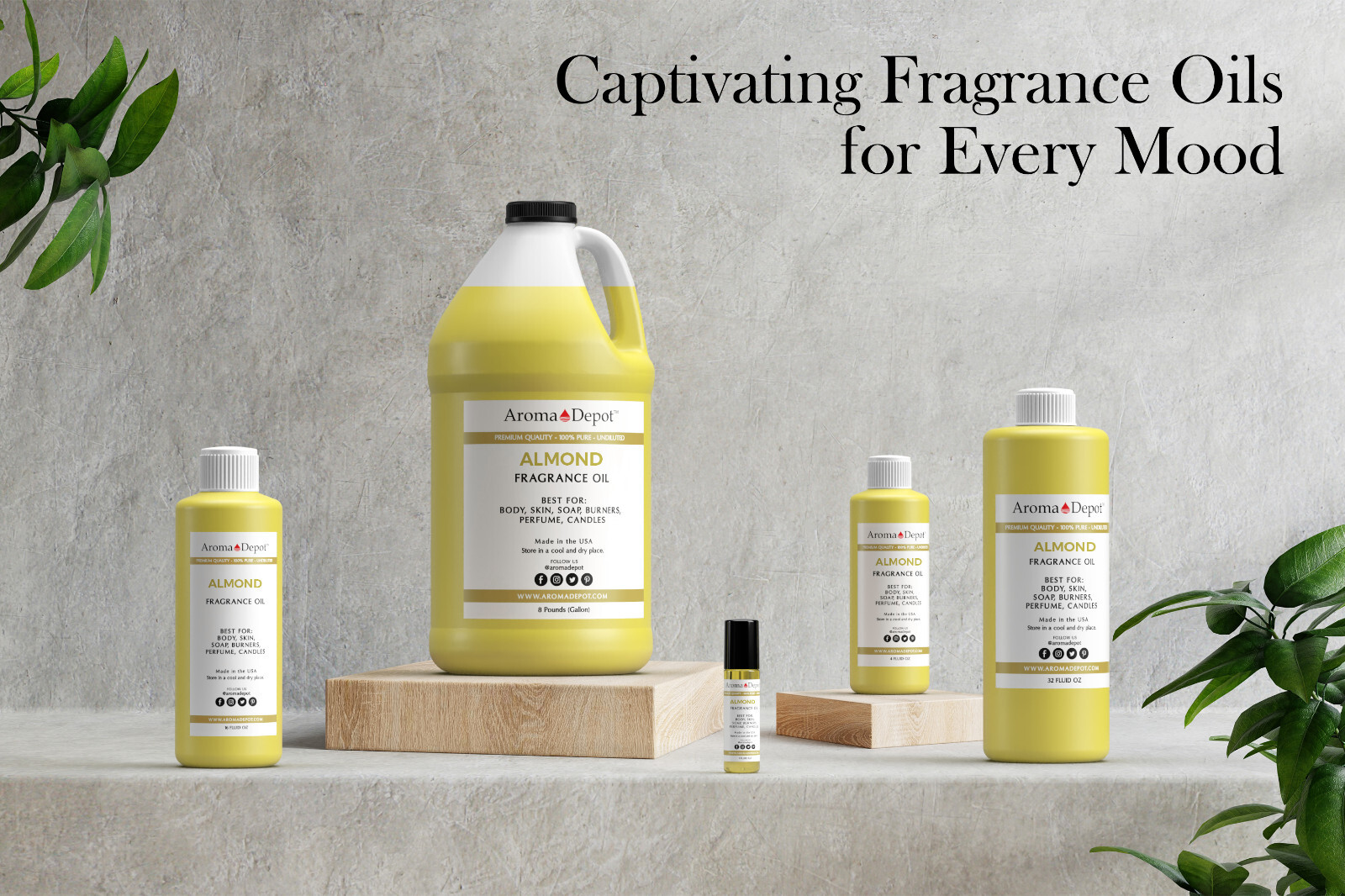 Body Oil Fragrance Candle Soap Bath Bomb Incense Making Kits Scents Alcohol Free