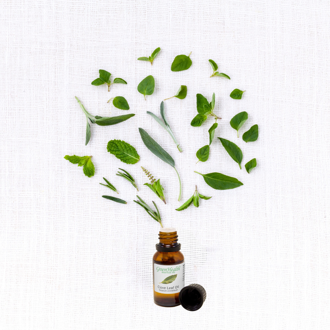 Bulk 8 fl oz Clove Leaf Essential Oil Pure Natural in Aluminum Bottle