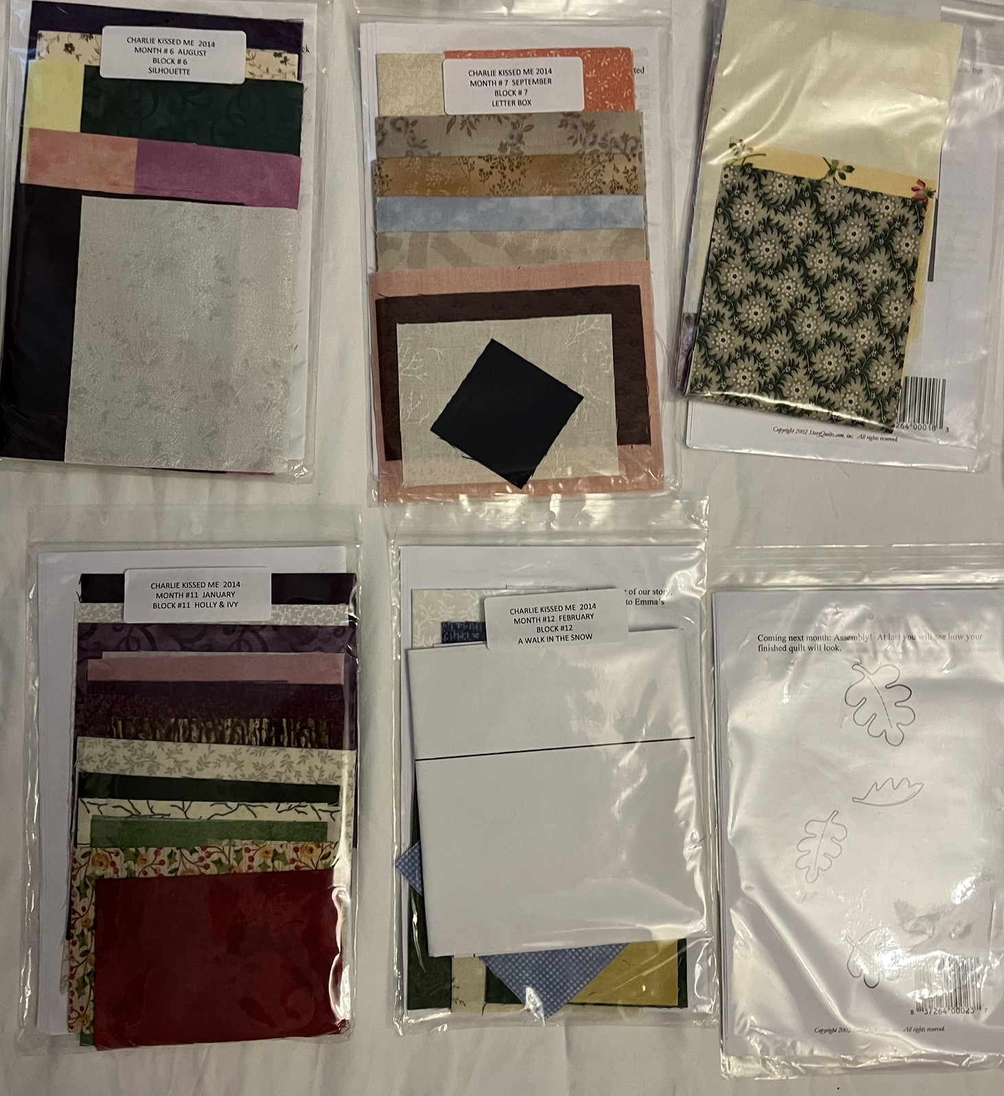 2014 Charlie Kissed Me A StoryQuilts Block Of The Month Prgm (All Blocks 1-14)