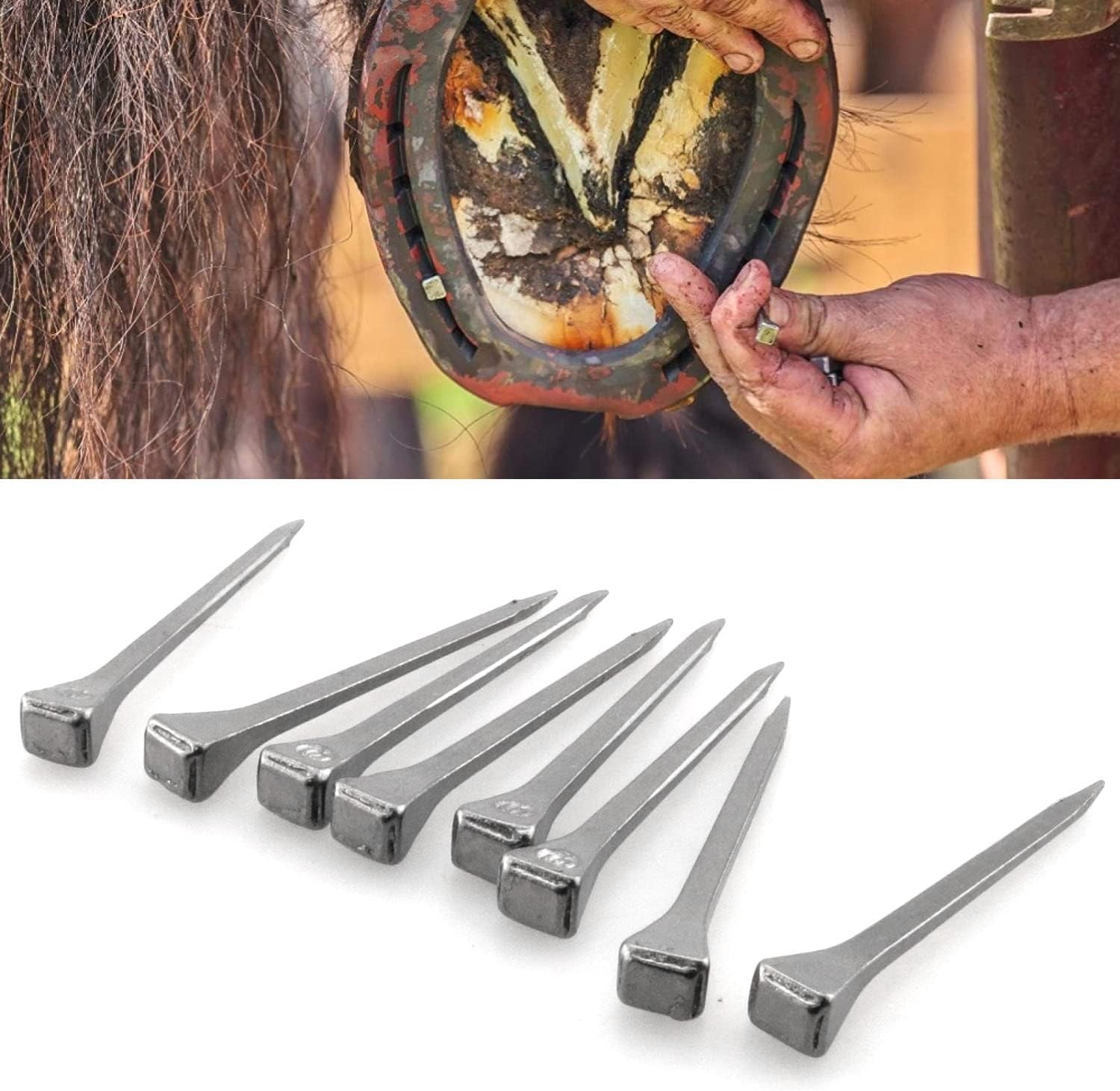 30PCS Horseshoe Nails E6 Horse Training Equipment Equestrian Tool – US