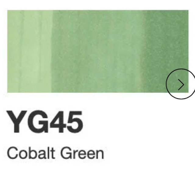 Copic Sketch Markers | Lightly Used | Tested for Quality | Color Group G & YG