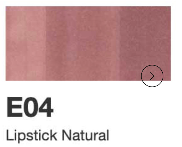 Copic Sketch Markers | Lightly Used | Tested for Quality | Color Group E (Earth)