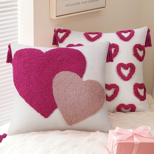 Valentine’s Day Throw Pillow Covers 18×18 18″ x 18″ (Pack of 1) Double Hearts