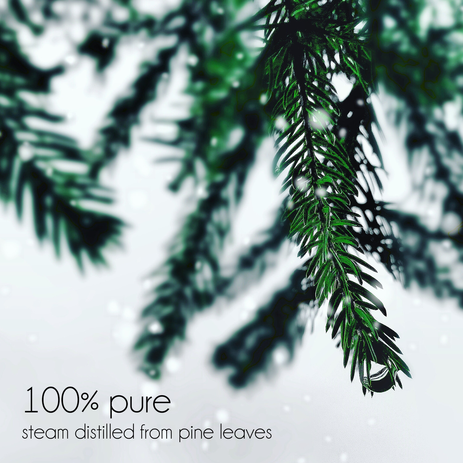 Essential Oils 10 ml – Pure & Natural – 50+ Popular Oils – GreenHealth