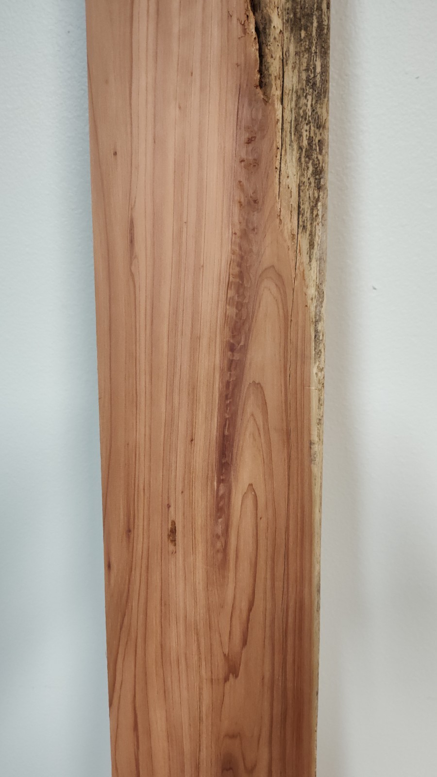 Eastern Aromatic Red Cedar
