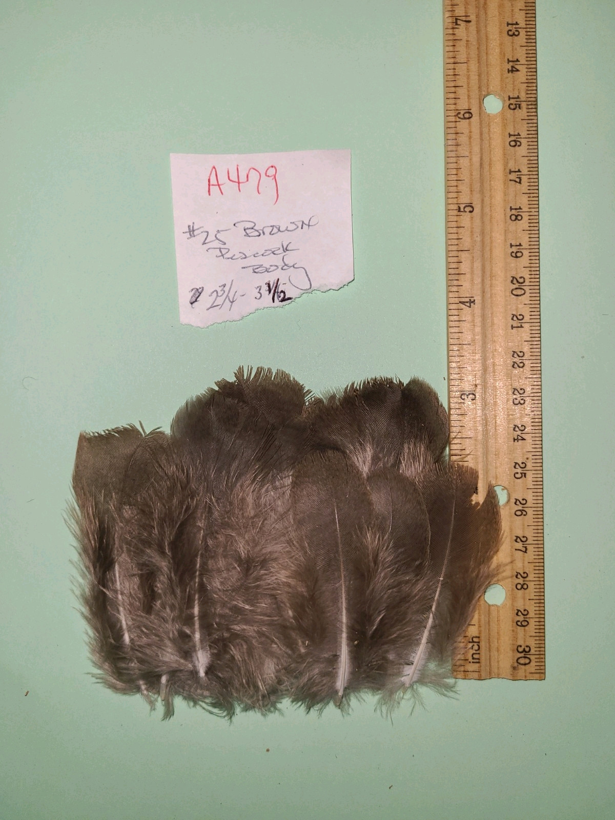 25 Brown Peacock Peahen Body Feathers 2 1/2″-3 1/2″ cruelty-free fly tying A479