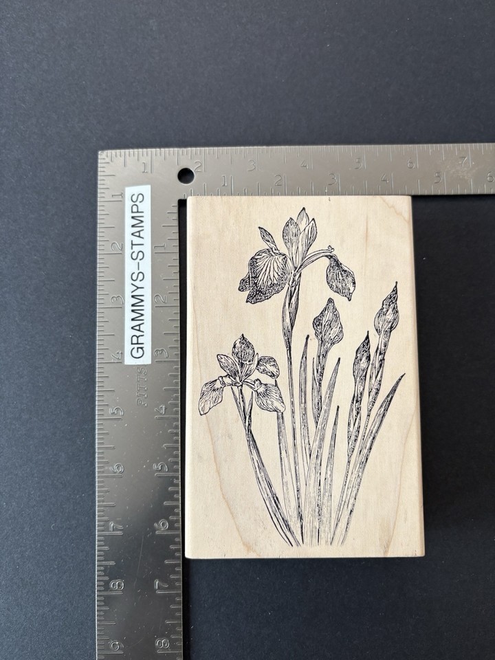 Magenta Beautiful Tall Iris Blossoms Buds Floral Flowers Rubber Stamp 09198R