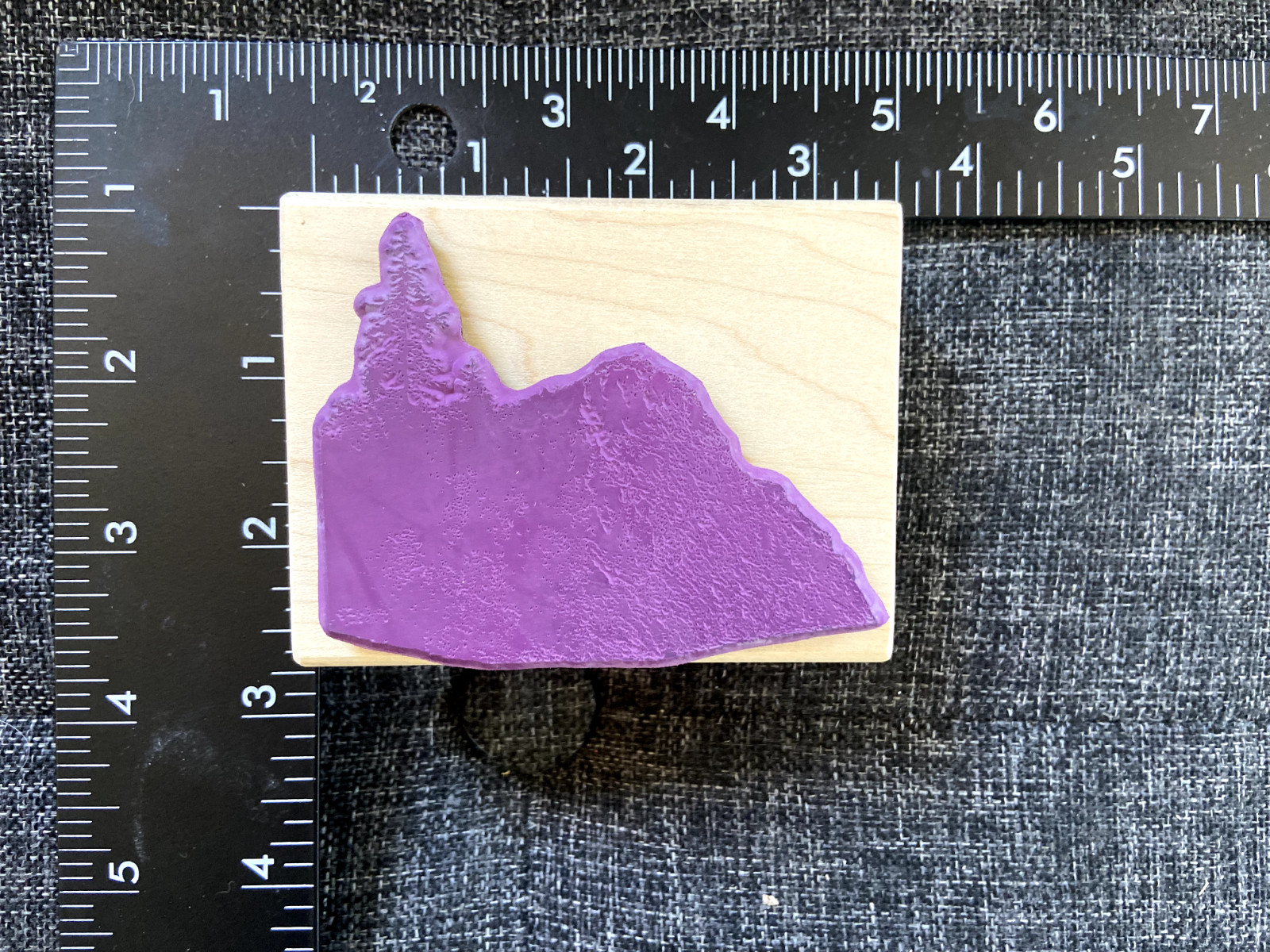 Alextamping Double sided Rubber Stamp WM N60 Rock Cliff Pine Tree Background New