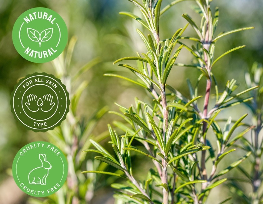 16 fl oz Rosemary Essential Oil (100% Pure & Natural) in Aluminum Bottle
