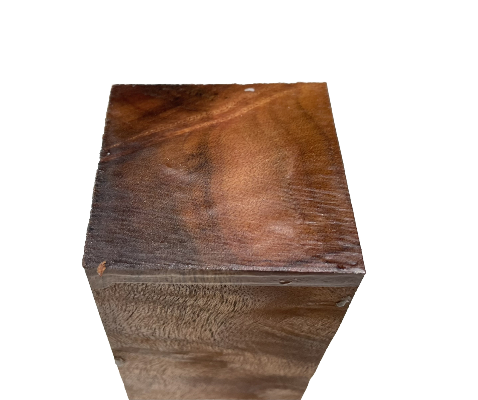 Camphor burl wood turning blank 2-7/16″ x 2-7/16″ x 6″ (J56) Dried