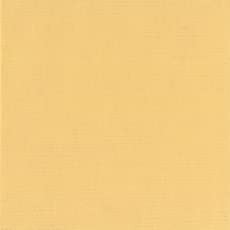 Holbein Acryla Gouache 20ml Naples Yellow 0.7 Fl Oz (Pack of 1),