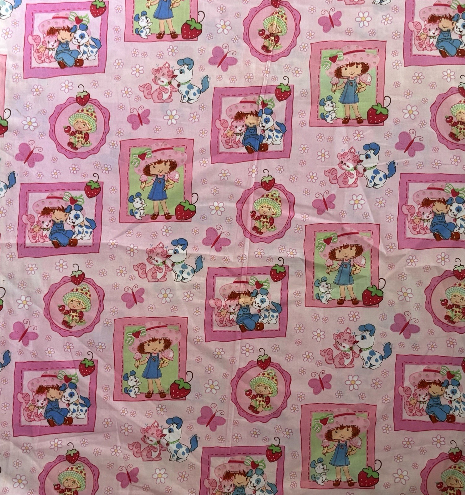 VINTAGE 2003 Strawberry Shortcake Portrait Cotton Fabric – BTFQ: 18″ x 22″