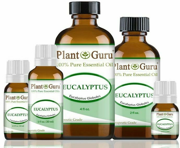 Eucalyptus Essential Oil 100% Pure Natural Therapeutic Grade Eucalyptus Globulus