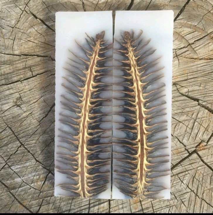 Custom Made Stabilized Pine Cones Resin Pair Scales For Knife Making Handle 2978