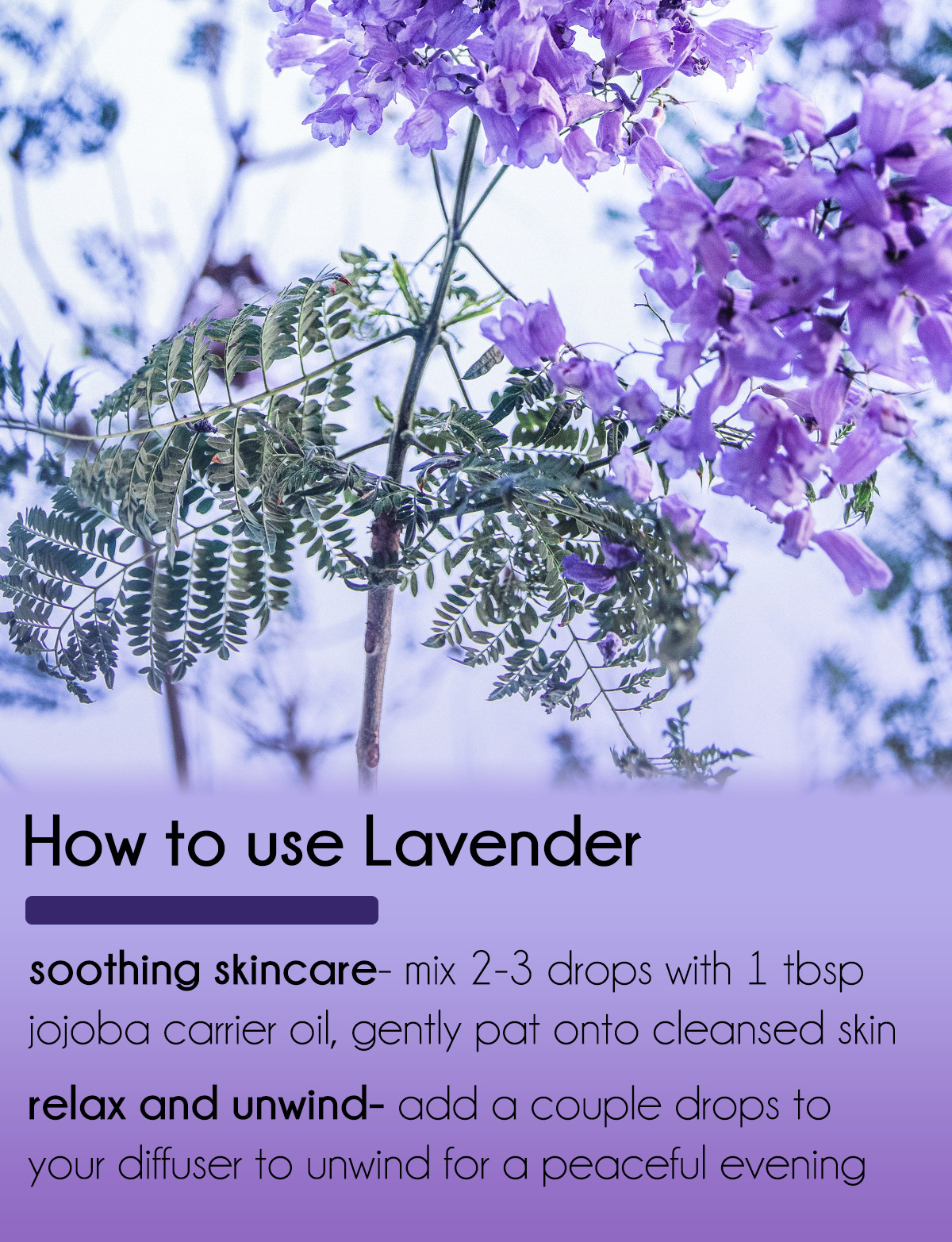 16 fl oz Lavender 40/42 Essential Oil (100% Pure & Natural) in Aluminum Bottle