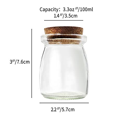 6Pcs Decorative Glass Bottle with Cork Stopper, 100ml,3.4oz Mini Glass Wish