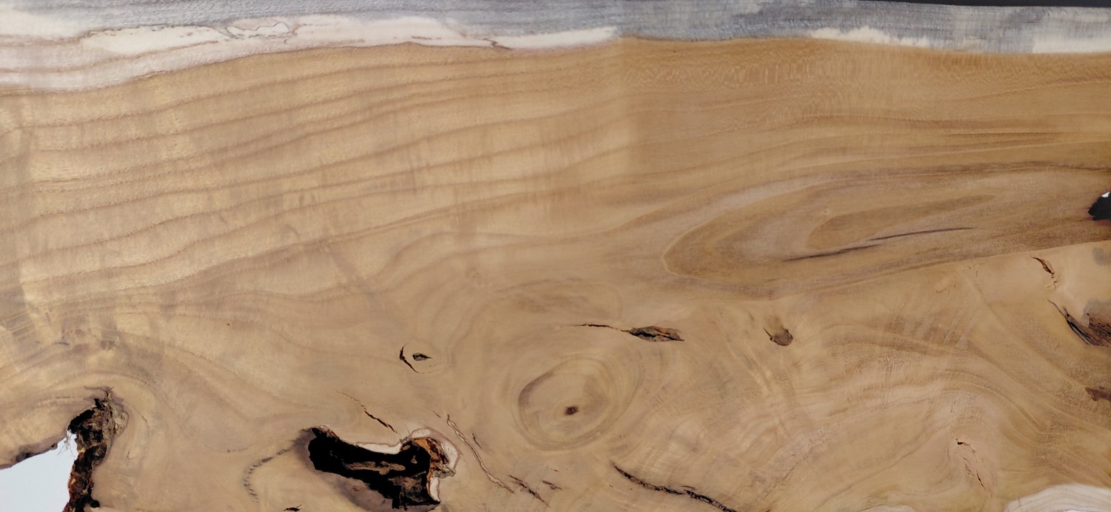 Burl – Fruitless Mulberry Slice. Live Edge. Resin Project, wall art