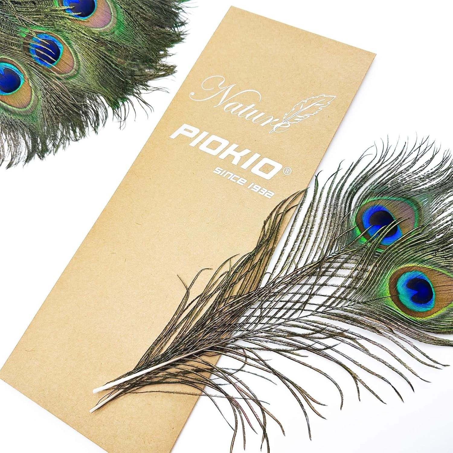 Bulk 200pc Peacock Feathers 10-12″ Cruelty-Free Natural Craft Decoration