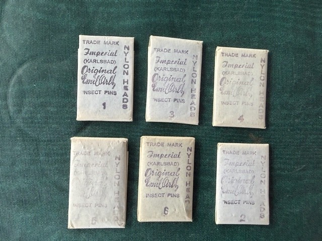 PRE 1918 Insect Collector Pins Karlsbad Austria Original Emil Artl