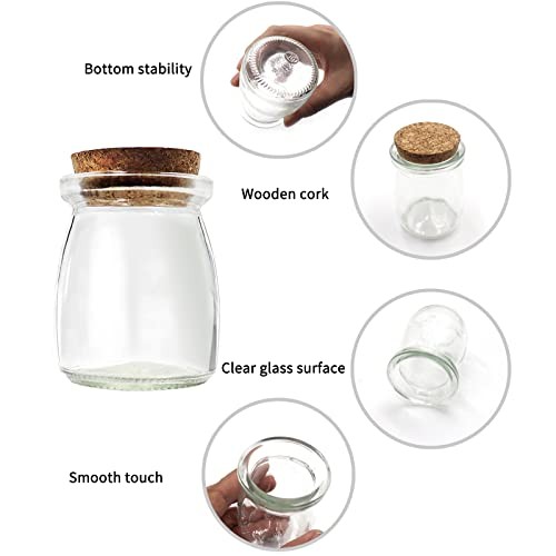 6Pcs Decorative Glass Bottle with Cork Stopper, 100ml,3.4oz Mini Glass Wish
