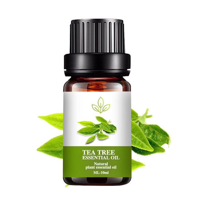 10 ml of natural aromatherapy essential oil, suitable for use in a humidifier