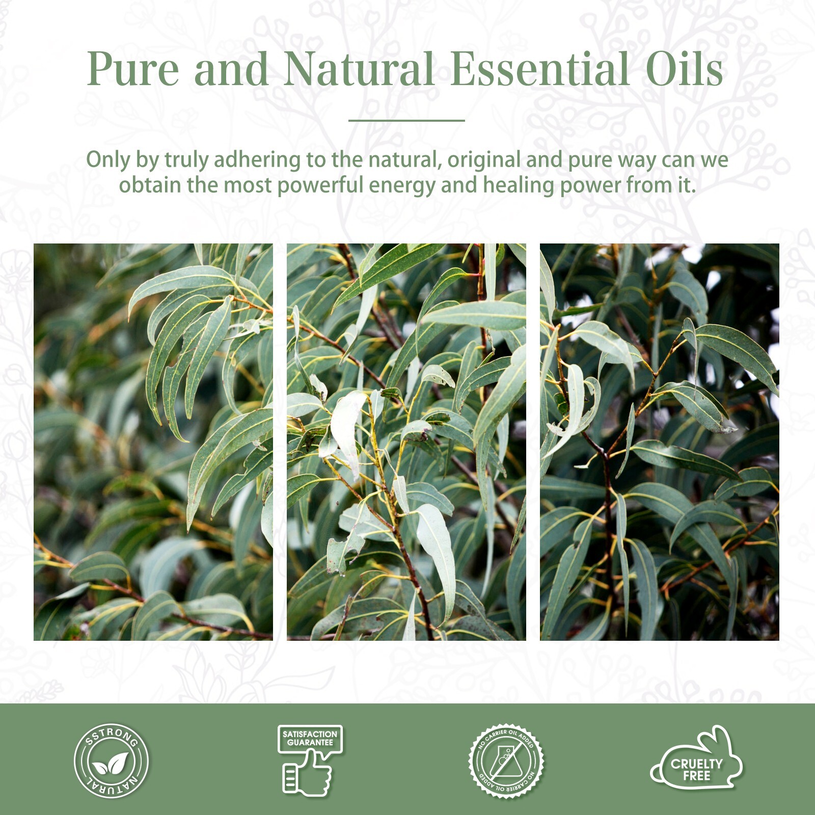100ml Pure Eucalyptus Essential Oils Aromatherapy Essential Oil For Diffusers