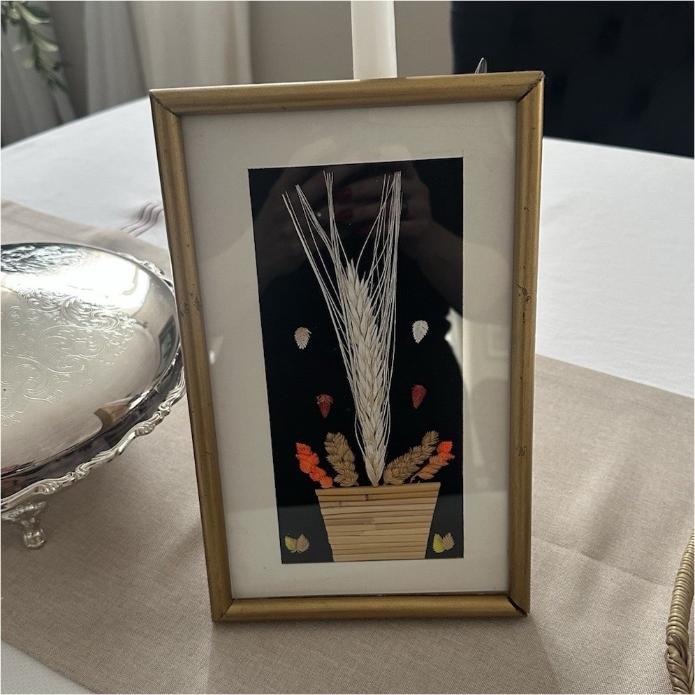 Framed Dried Flower Botanical Art Gold Frame Multiple Plant Parts