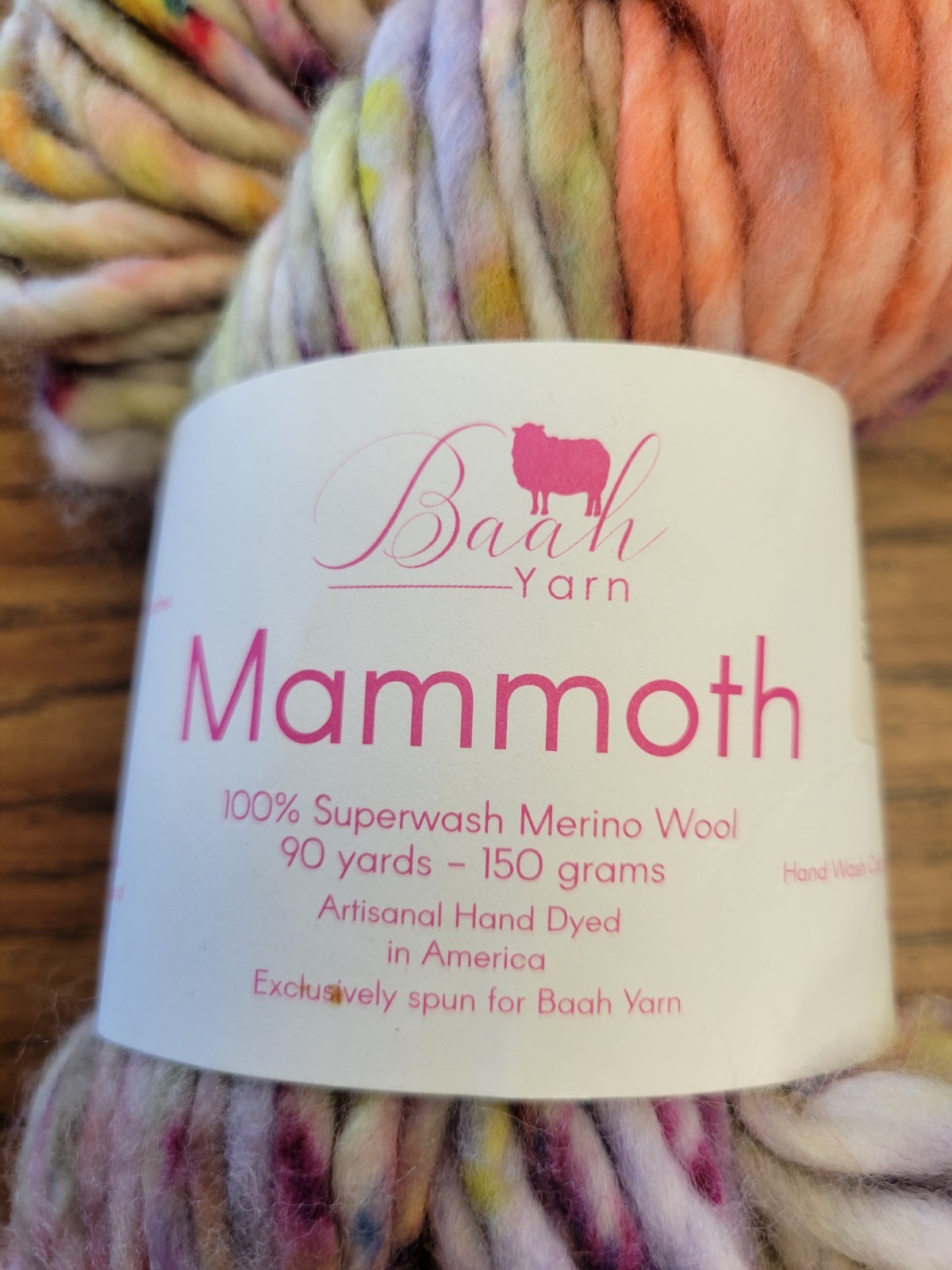 RARE Baah Yarn variegated MAMMOTH Merino wool YOM March 2024 monthly color thick