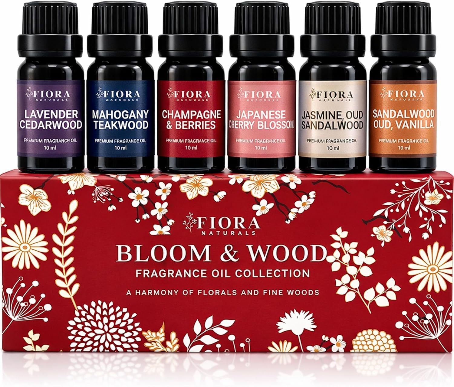 Fragrance Oil Set – Highly Concentrated Scented Oils for Candle Making, Soap,…