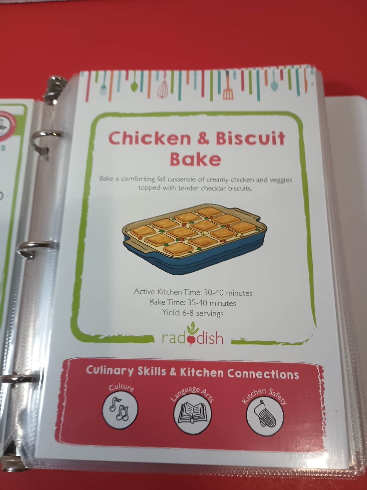 Lot Of 18 RADDISH KIDS Cooking Recipe Cards, INSTRUCTIONS, TRI-FOLD +12 Cards
