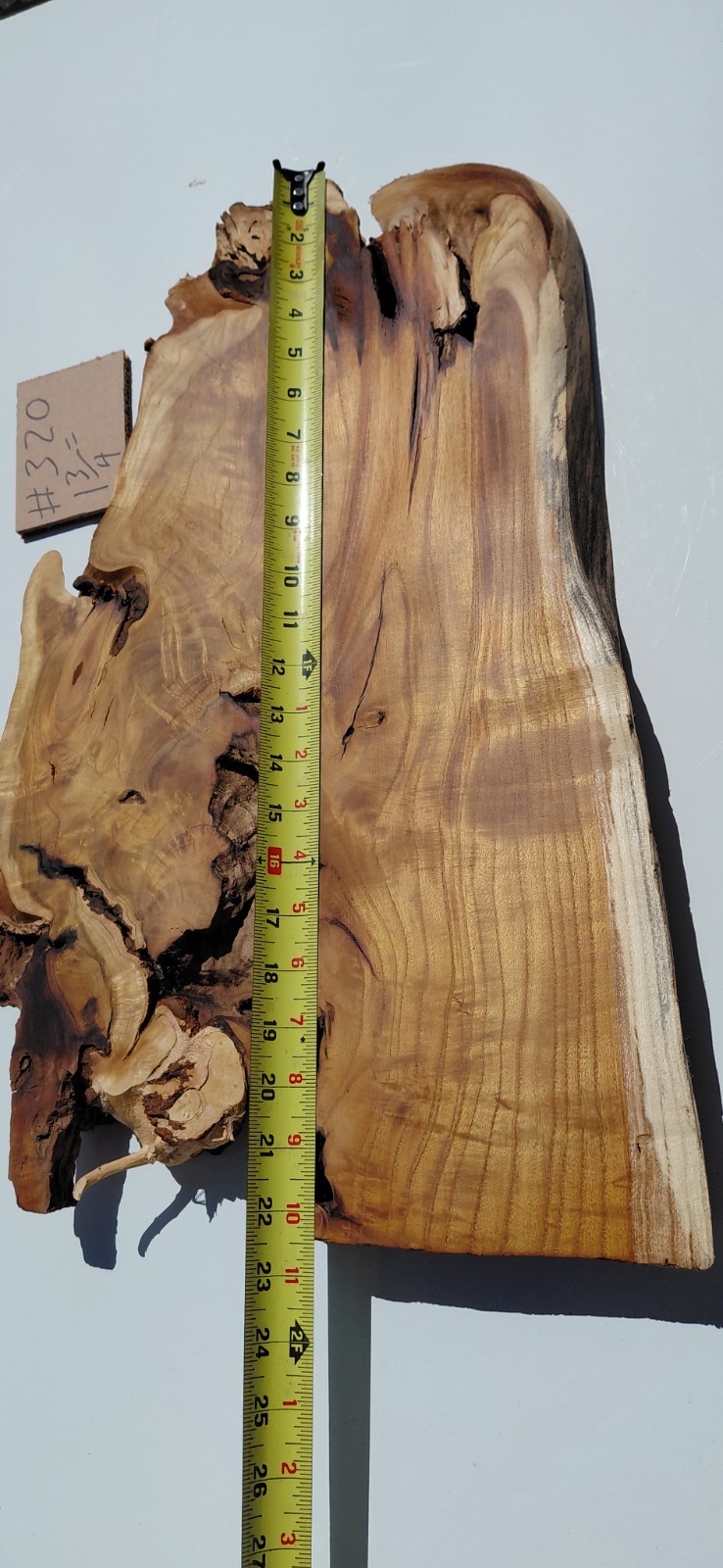 Burl – Fruitless Mulberry Slice. Live Edge. Resin Project, wall art