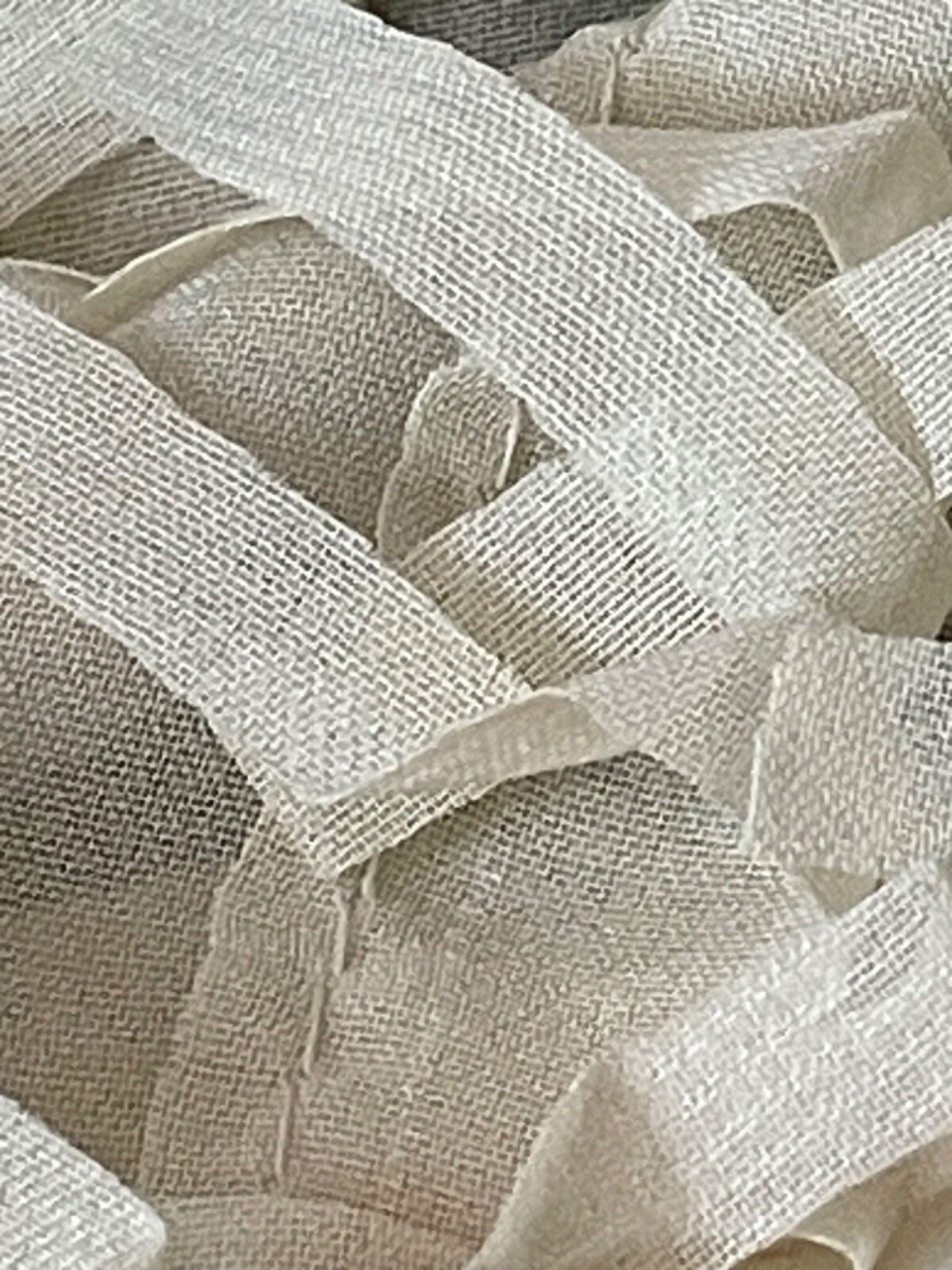Fabric Lot 2 Yds 56 W Apparel Laser Cut Beige Vanilla Fringe Sheer Organza