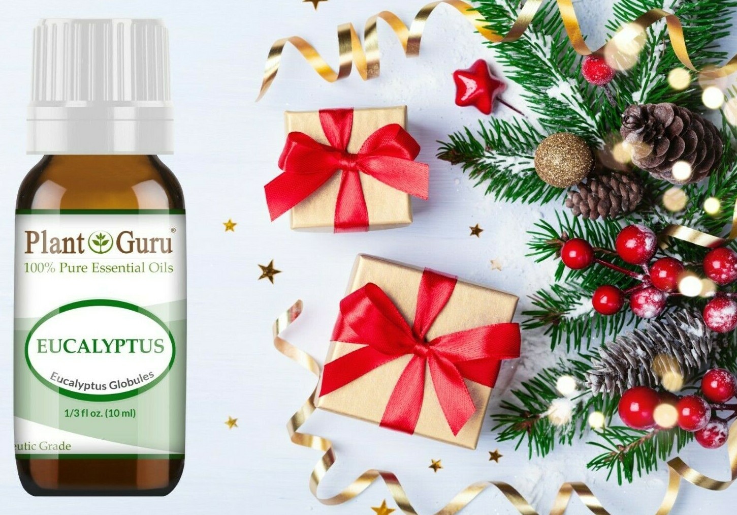 Christmas Holiday Essential Oil Set Pure Aromatherapy Balsam Fir Clove Cinnamon