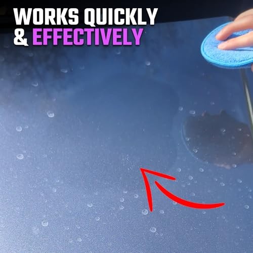 Water Spot Remover – Quickly Removes Hard Water Spots, 16 Fl Oz (Pack of 1)
