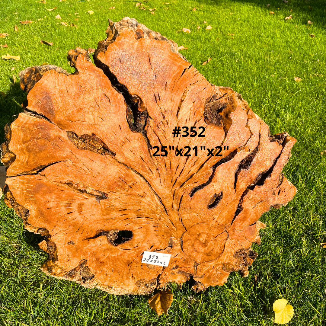 Olive Wood Live Edge Cookies for Resin, Crafting, Wood Art, Tables, Clocks