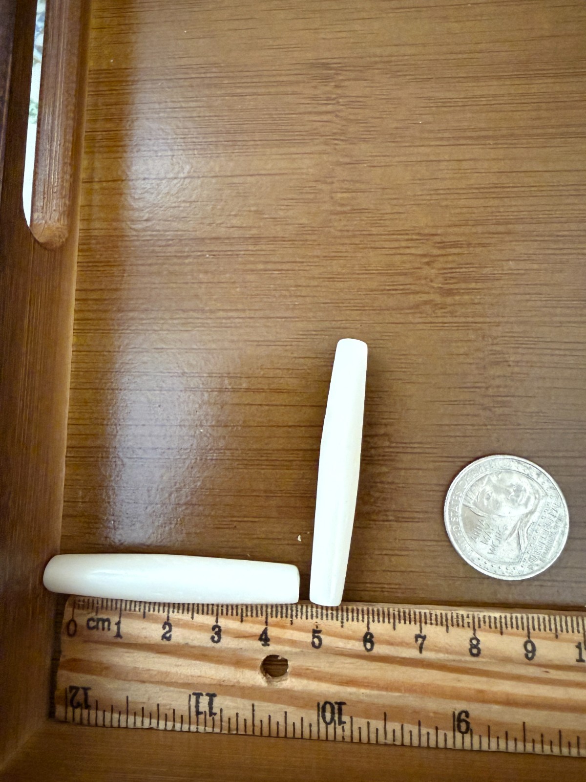 10PC White Buffalo Bone Hair Pipe Tube Beads 2″