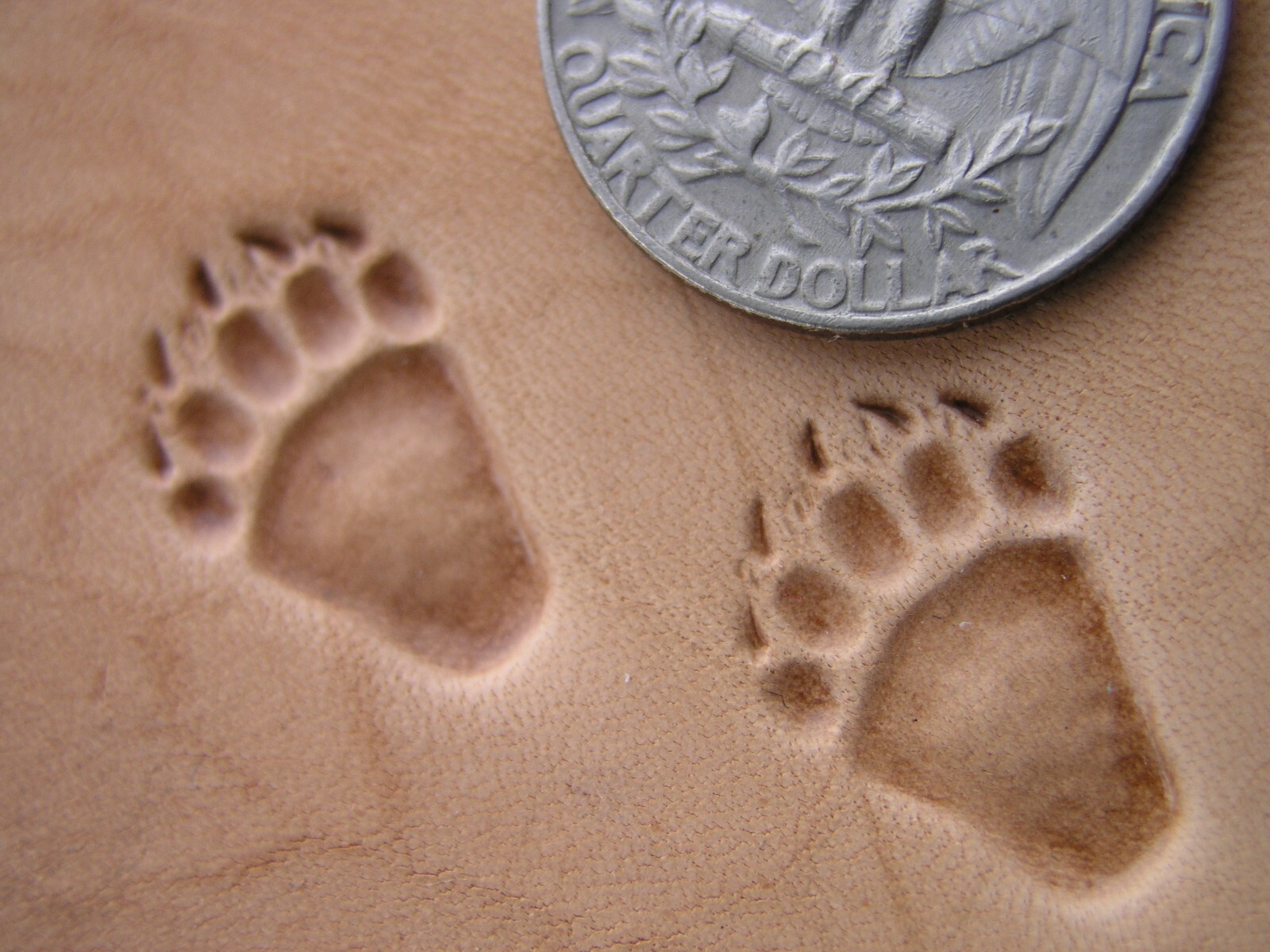 0177-18 Complet Grizzly Bear paws 4 Brass Leather stamps tools